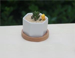 Flè Seramik Pot Avèk plato