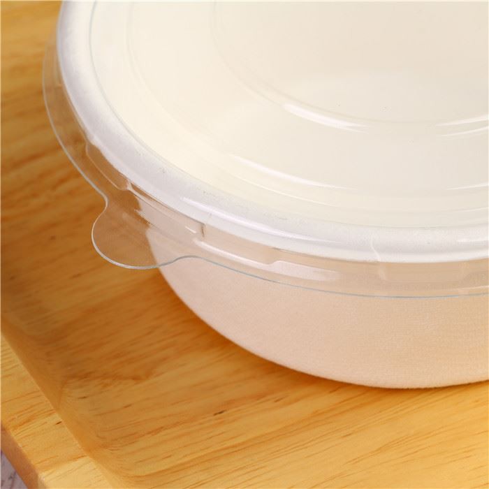 Biodegradable Disposable Food Container Sugarcane Food Container Bowls For Salad
